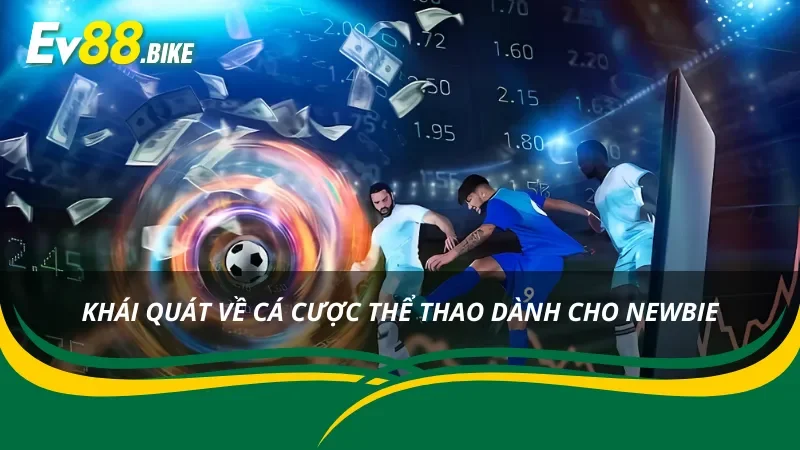 Những điều nổi bật về cá cược thể thao cho tân thủ