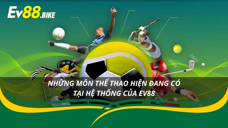 05 loại hình cá cược thể thao thú vị người chơi nên thử