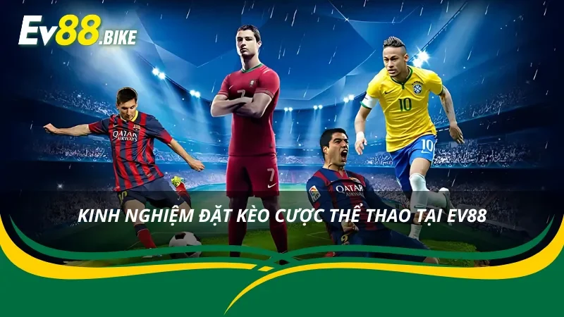 Kinh nghiệm cá cược thể thao tất thắng cho newbie