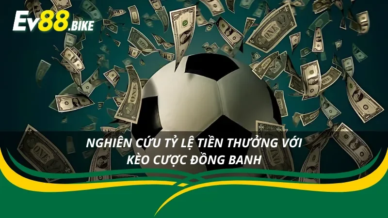 Nghiên cứu tỷ lệ tiền cược trong kèo đồng banh
