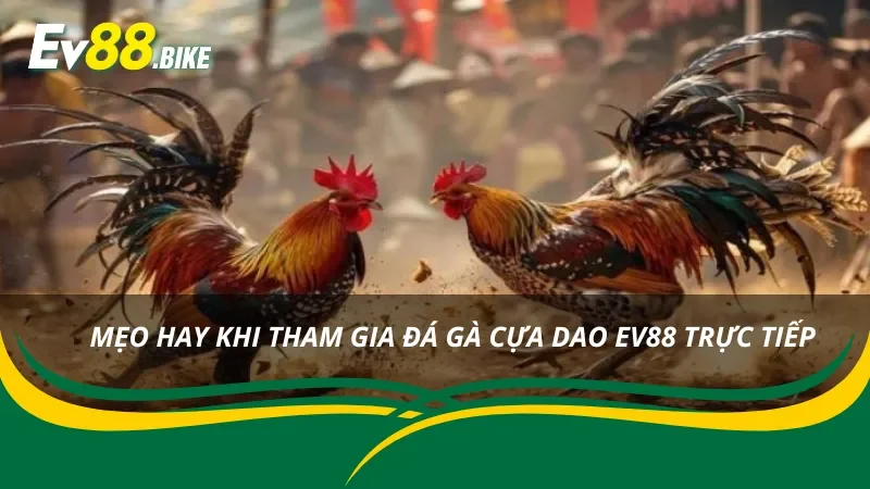 Những mẹo chơi đá gà cựa dao cực chuẩn
